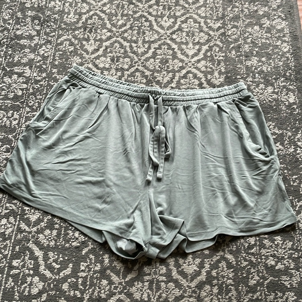 Aerie shorts
